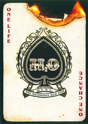 H2O "One Life, One Chance" DVD